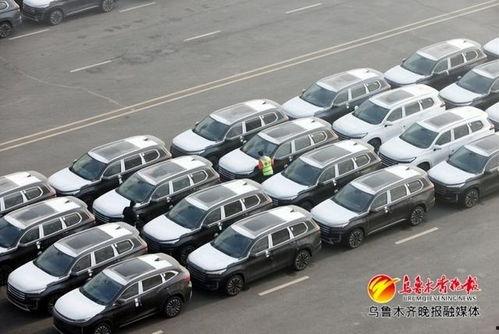 国产图片综合,捕捉时代光影,展现民族风采